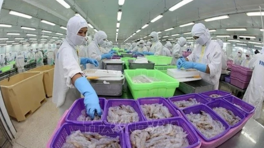 Vietnam becomes Brazil’s second largest seafood supplier